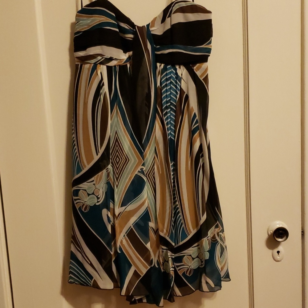 Express Silk Dress